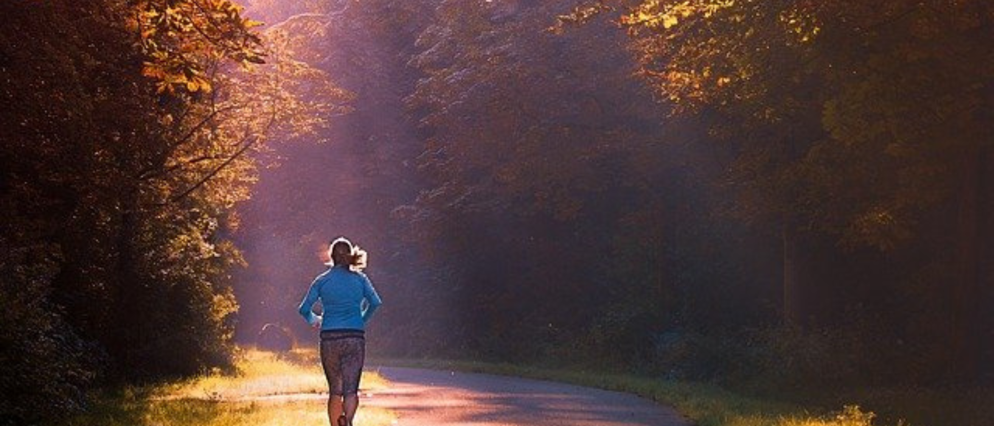 Wandel- en hardlooproutes