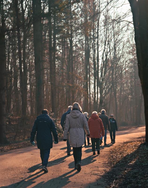 De mooiste wandelroutes